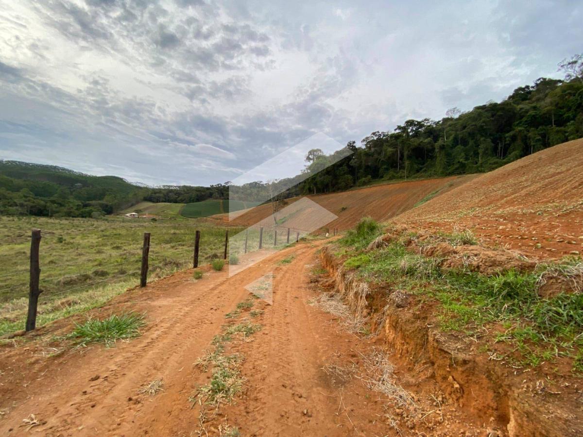 Vende Fazenda na região de Pedra Azul - 55,8 Hectares - França Consultoria Imobiliária