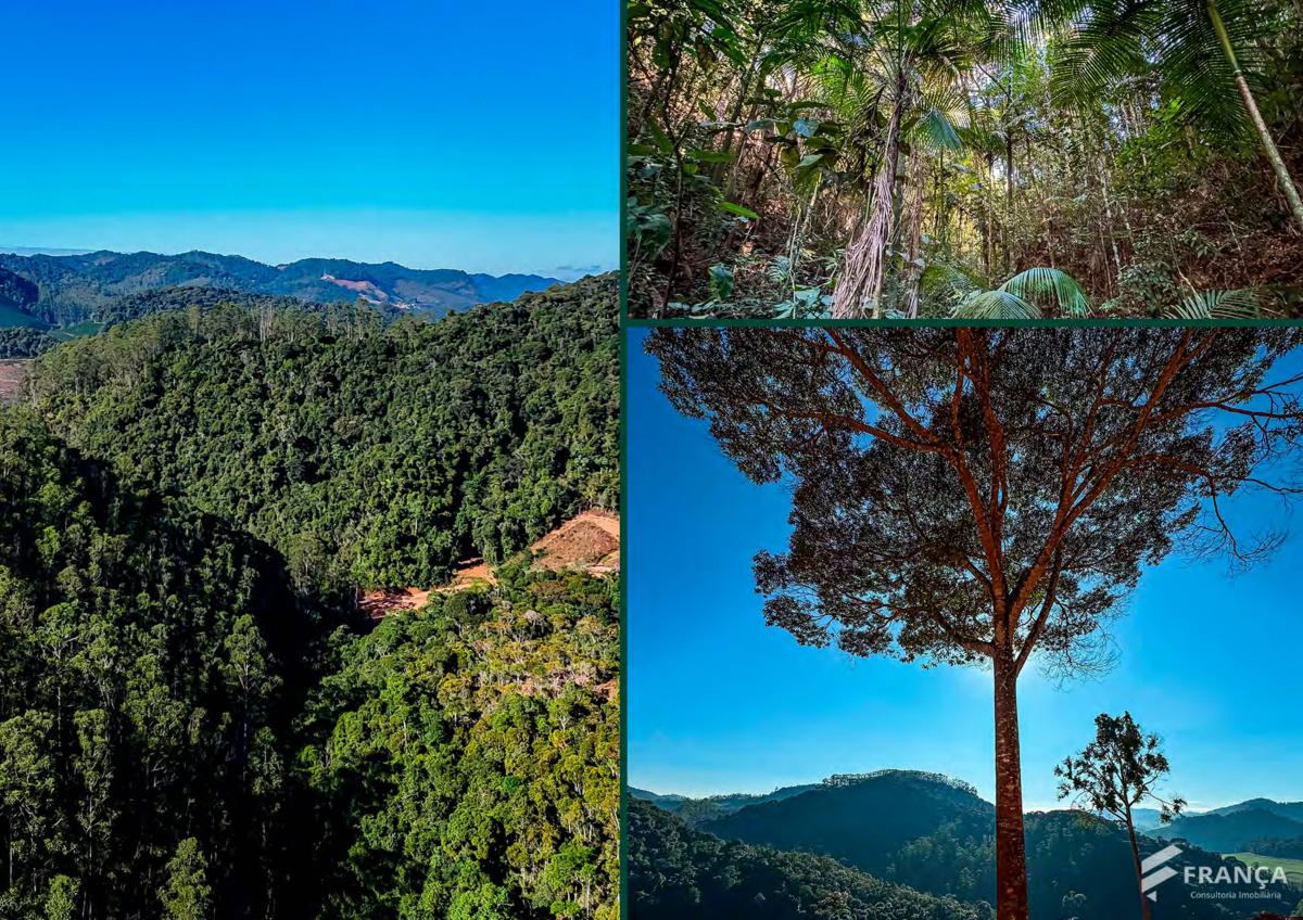 Oportunidade: Chácaras de 20.000m² em Santa Maria de Marechal - França Consultoria Imobiliária