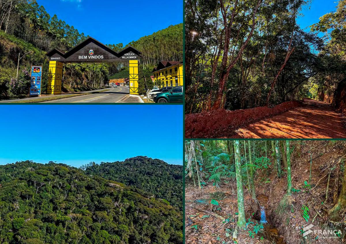 Oportunidade: Chácaras de 20.000m² em Santa Maria de Marechal - França Consultoria Imobiliária