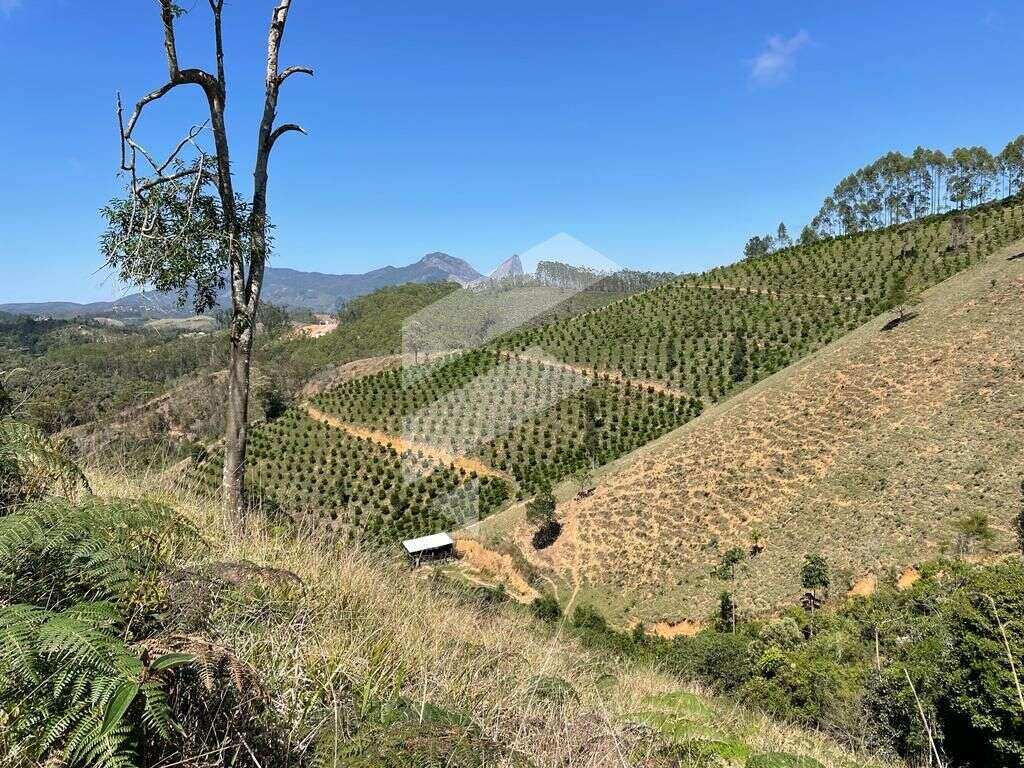 Terreno à venda, 246.000m² - França Consultoria Imobiliária