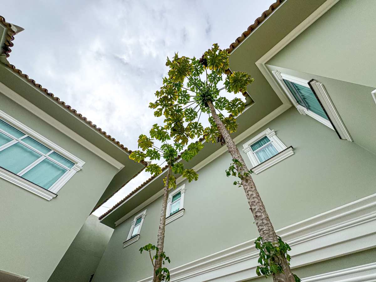 Vende-se Mansão de Alto padrão em Interlagos, Vila Velha/ES - França Consultoria Imobiliária